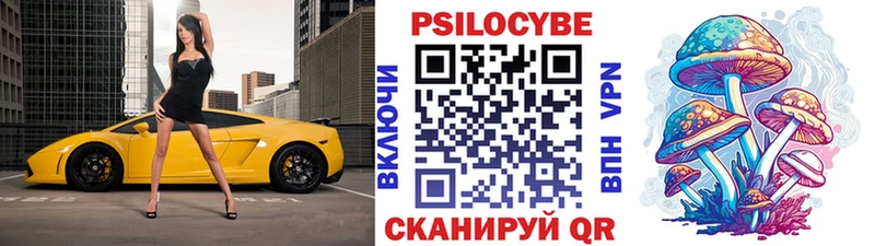 Псилоцибиновые грибы Cubensis закладка Хвалынск